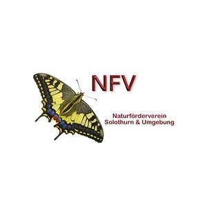 NFV