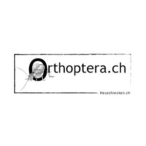 Orthoptera.ch